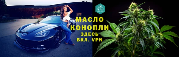 стафф Богданович