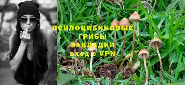 меф Богородицк