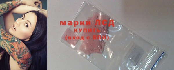 хмурый Белокуриха