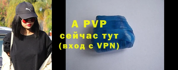 стафф Богданович