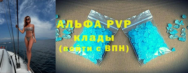 хмурый Белокуриха