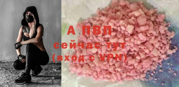 хмурый Белокуриха