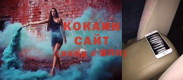 хмурый Белокуриха