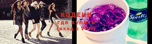 хмурый Белокуриха